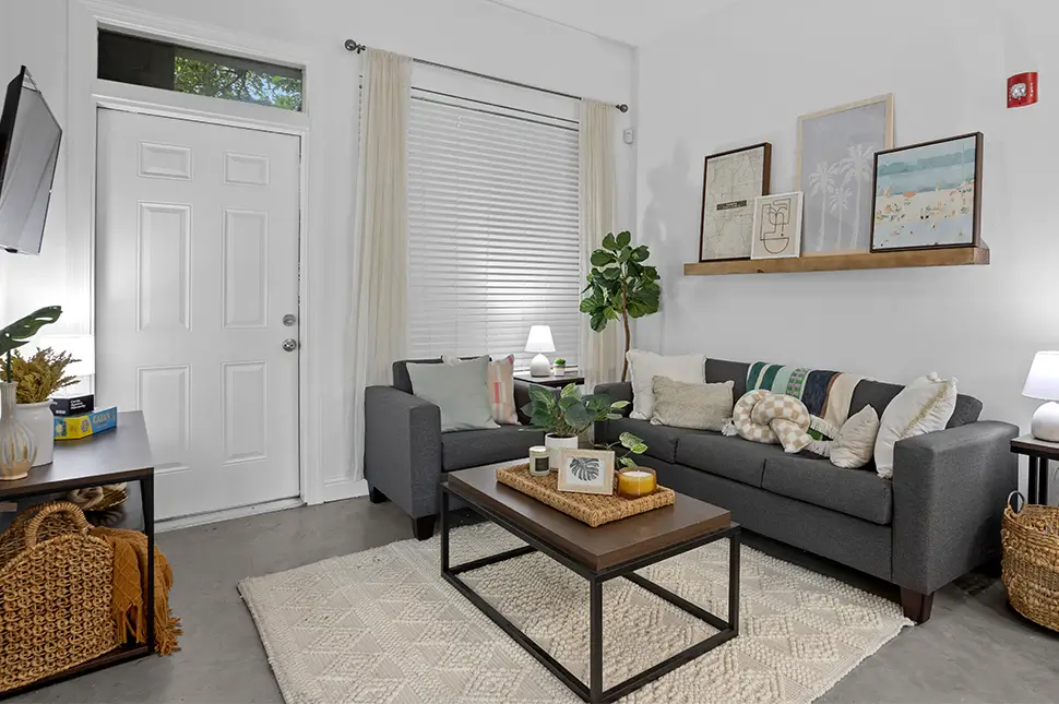 furnished apartment living space